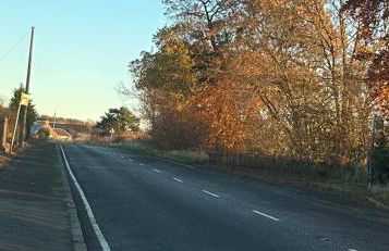 The Little Beech Tree - Foto 39