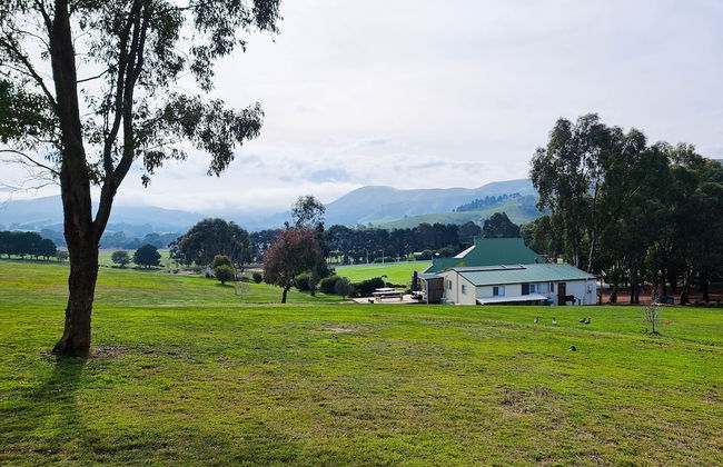 The Village Green - Photo 48