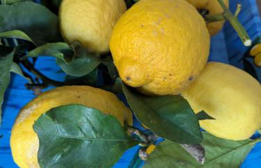 Due passi dal mare - Foto 32