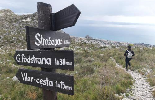 Apartments Babic - Photo 17