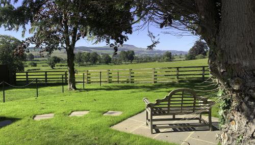 The Horse Box - Foto 4