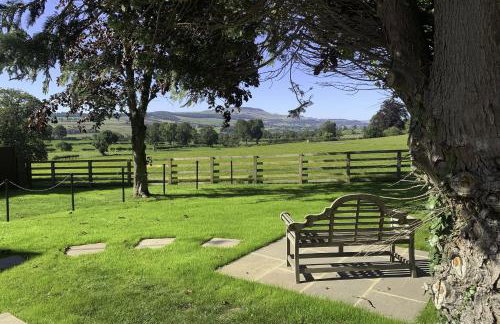 The Horse Box - Foto 4