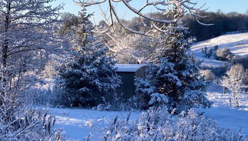 The Shepherd's Hut with cozy logburner - Foto 3