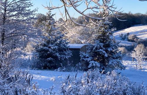 The Shepherd's Hut with cozy logburner - Foto 3