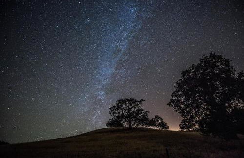 3900 Palm House on Cabrillo home - Foto 59