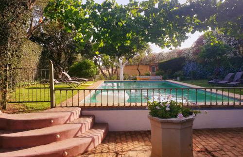 Cortijo El Triguero N-398 Ctra Carmona – El Viso del Alcor Km 18 - Foto 2