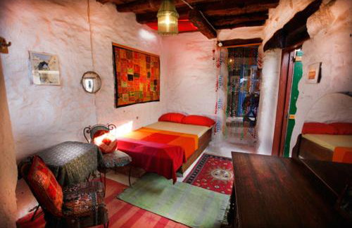 Clive and Bifi's house - Foto 21