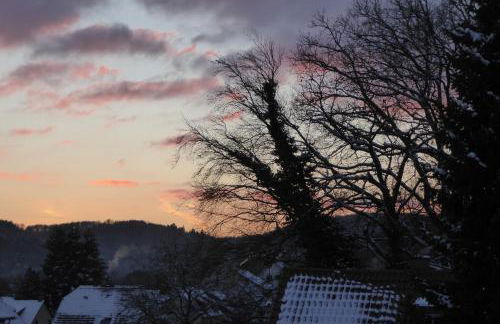 Ferienwohnung Jungbär - Die Wohlfühl-Adresse im Stangenwald - Foto 22