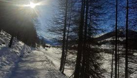 Valdidentro sweet home - Foto 3