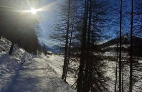 Valdidentro sweet home - Foto 3