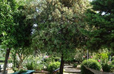 Apartment Pasman 14788c - Foto 11