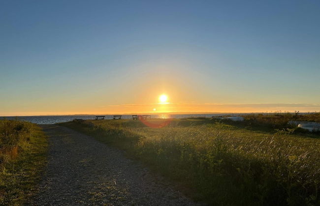 4 Person Holiday Home in Nibe-by Traum - Foto 11