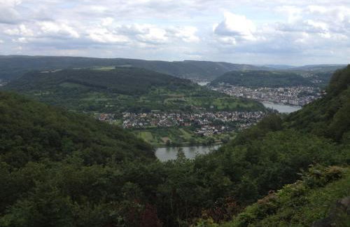 Moderne Ferienwohnung "Am Wald 2", ruhige Lage, viel Komfort, grosse Terrasse, - Foto 19