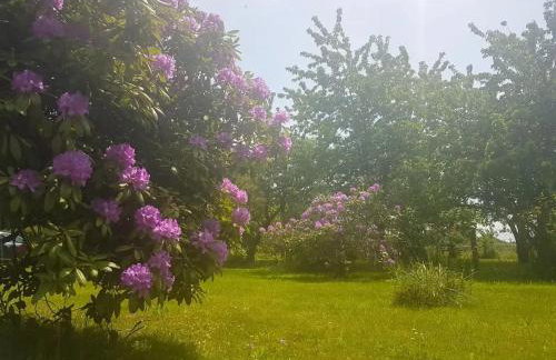 Maison de charme à Québriac avec jardin clôturé - Foto 19