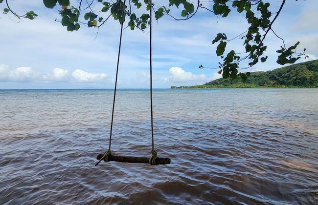 Fare Mama Rota - Photo 44