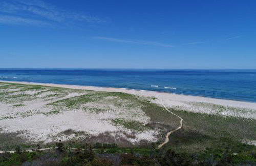 Nauset Beach Buddy - Photo 25