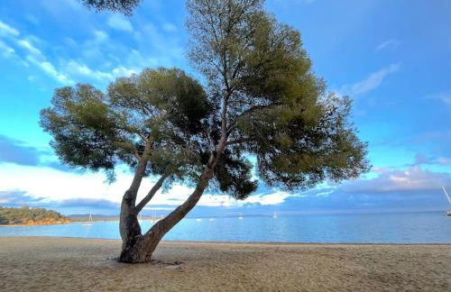 Appartement plage piscine et tennis inclus - Foto 53