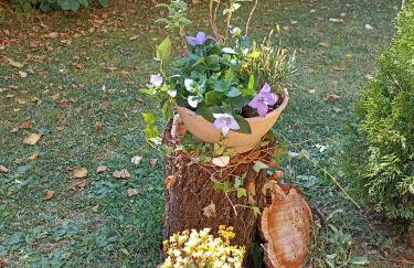 Ferienwohnung NatuRaum - Photo 15