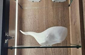 Piso Costa de Almeria Retamar - Foto 37