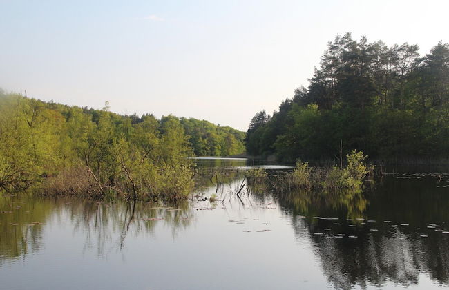 Holiday Flat in Kolczewo-70 qm for 6 Persons - Foto 17