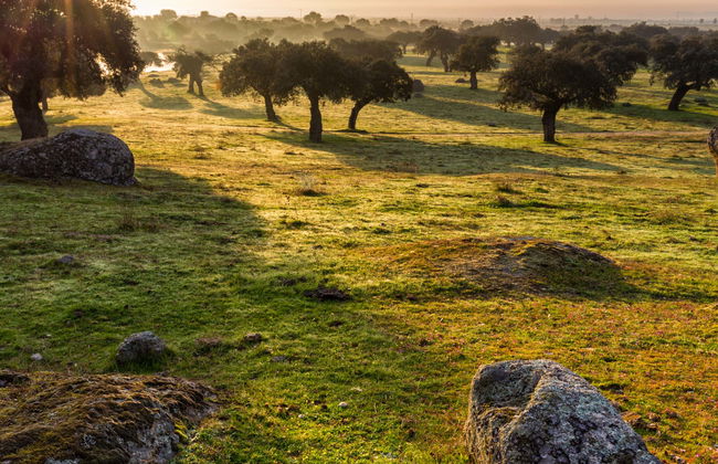 Tour in Cáceres - Photo 8
