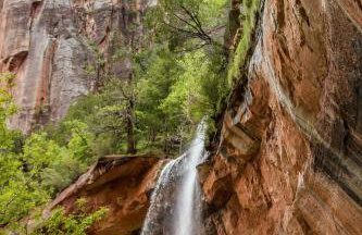 Beehive Basecamp Explore Ski Play and Make Memories - Foto 54