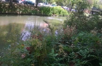 Appartement Matabiau - Foto 10