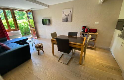 Sancy Resort - Foto 56