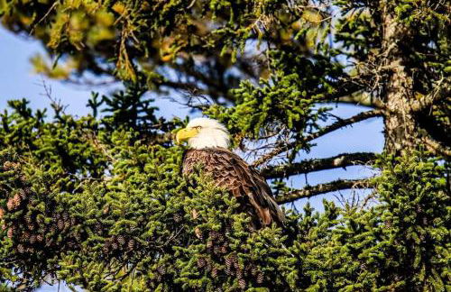 Downeast Sunset Luxury Lakehouse - Photo 16
