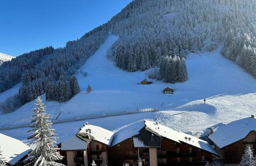 2-bed appt 20 mins from Morzine Portes du Soleil French Alps - Foto 47