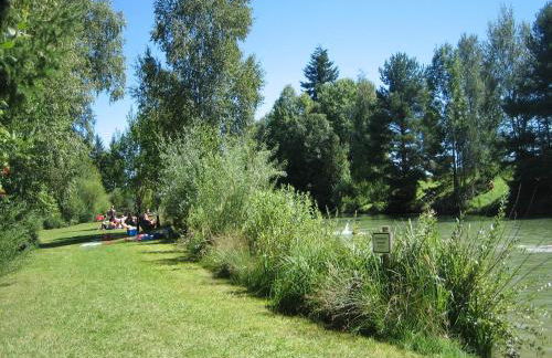 Apartment in the Allgau With View of the Bavarian Alps - Photo 10