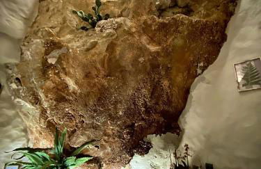 Alvarado Loft Rural - Foto 40