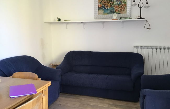 Viola nel Parco - Foto 24