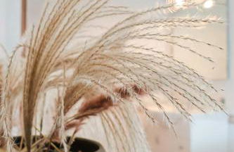 Villa Lella - Tevere - Foto 38