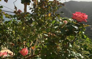 Los Corralitos - Foto 49