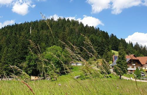 Sandras Bergstation - Photo 12