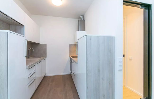 Flawless Apartments Pod Děkankou - Foto 14