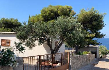 HOUSE Kod dide - Foto 70