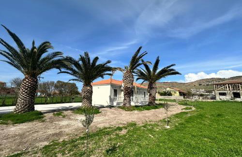 Ktimavita Apartment 1 - Photo 28