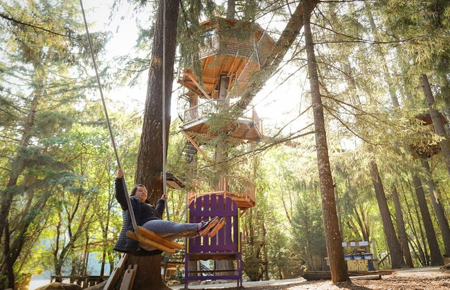 Out 'N' About Treehouse Treesort - Foto 61