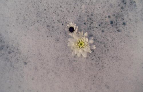 Schwimmende Suiten Usedom - Foto 10