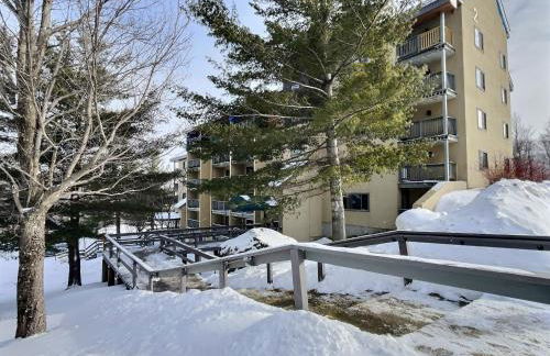 The Grizz AC Pool Sauna Gym Near Resort - Photo 43