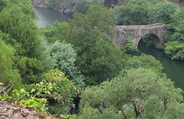 Casa Barroca - Foto 23