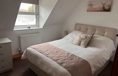 The Paddocks - Photo 20