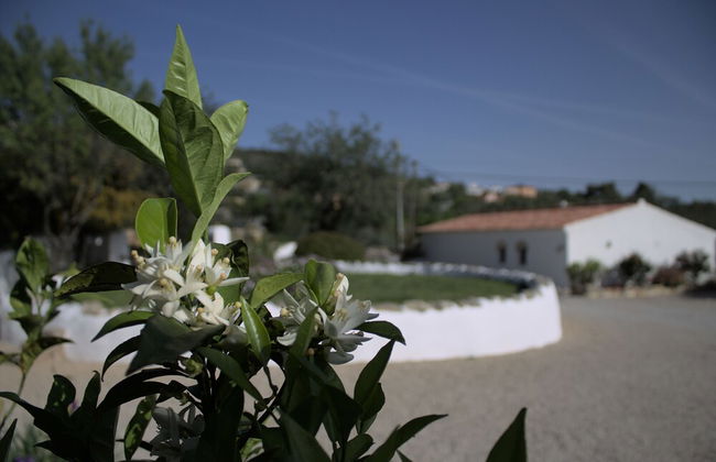 Suite Swimming Pool Quinta da Eira 140 Years old - Foto 16