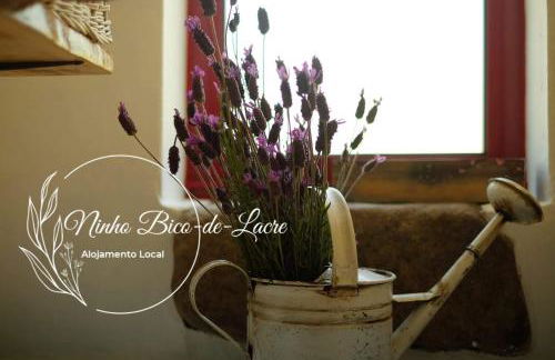 Ninho Bico-de-Lacre ~ o paraíso é a/na Terra - Foto 24