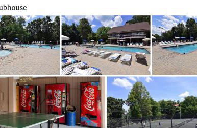 Bears Among Us - Foto 33