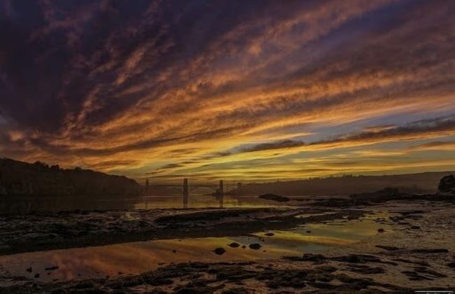 Superb Cintra Apartments - Foto 49