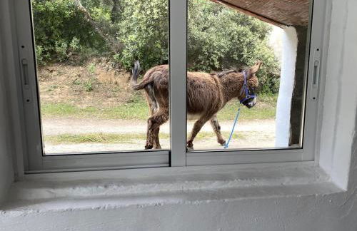 3 Bed Lodge - Sleeps 6 - Pool - Terrace - Parking - Foto 1