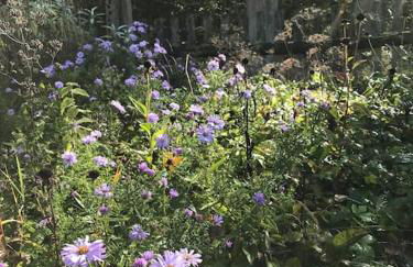 Auszeit auf dem Land im Forsthaus Hohe Heide - Foto 23